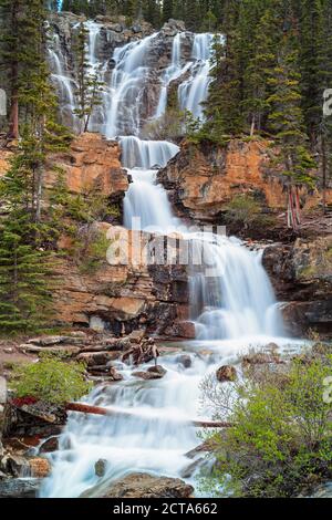 Kanada, Alberta, Jasper Nationalpark, Tangle Creek Falls Stockfoto