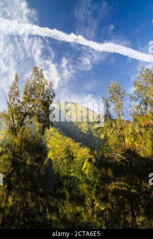 Indonesien, Java, Landschaft in der Nähe von Mount Bromo Vulkan Stockfoto