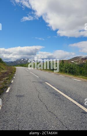 Schweden, Gaeddede, Vildmarksvaegen am Stekenjokk plateau Stockfoto