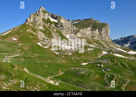 Montenegro, Sedlena Greda Berg Durmitor National Park Stockfoto