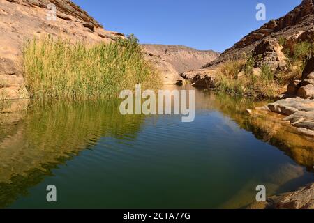 Algerien, Tassili n ' Ajjer National Park, Iherir, Wasser in einem Guelta am Idaran Canyon Stockfoto