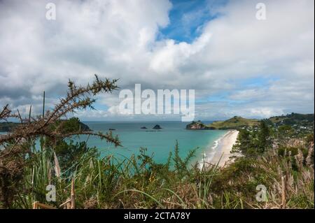 Neuseeland, Nordinsel, Waikato, Coromandel Halbinsel Hahei Strand Stockfoto