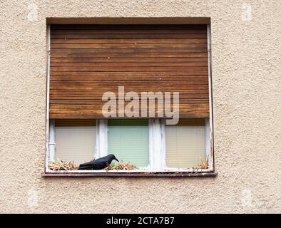 Deutschland, Bayern, Regensburg, Anzeigen der Hausfassade Stockfoto