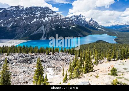 Kanada, Alberta Banff National Park, Peyto See aus Bow Summit Stockfoto