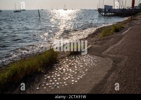 Plastikflaschen-Tops wurden in Chalkwell, Southend on Sea, Essex, Großbritannien, in die Teerschicht der Ufermauer geschoben. Schlackenweg an der Themse Mündung mit Flaschenverschlüssen Stockfoto