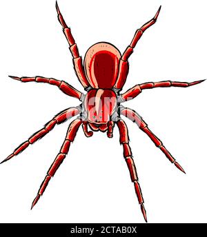 Rote Rückenspinne, Illustration und schlichtes Design. Stock Vektor