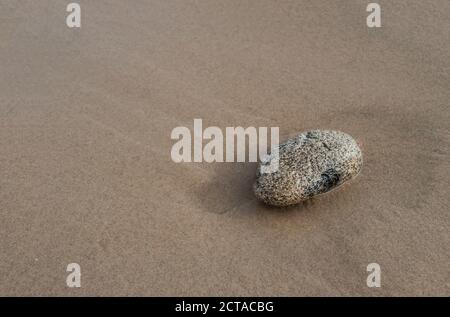 Stein liegt an einem Sandstrand. Sommer entspannenden Hintergrund mit Kopierplatz. Konzept - einsam, aber stark. Stockfoto