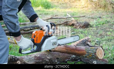 Nahaufnahme des Sägens eines trockenen Holzes mit einer Kettensäge. Stockfoto