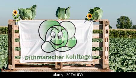 22. September 2020, Schleswig-Holstein, Dithmarschen (kreis): Ein Banner mit der Aufschrift "Dithmarscher Kohltage" hängt auf einem Anhänger in einem Kohlfeld. Dithmarschen, Europas größtes geschlossenes Kohlanbaugebiet, feiert mit den Dithmarscher Kohltagen eine Woche lang Kohl. Die Tage werden mit dem traditionellen Kohlschnitt durch den Landrat und Landwirtschaftsminister eröffnet. Foto: Markus Scholz/dpa Stockfoto