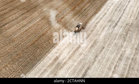 Arbeiter auf Mähdrescher sammeln reifen Mais. Luftaufnahme von oben Stockfoto