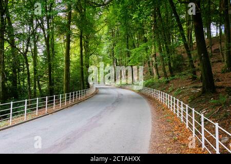 Die Straße nähert sich Lake Vyrnwy am Lake Vyrnwy, Powys, Wales Stockfoto