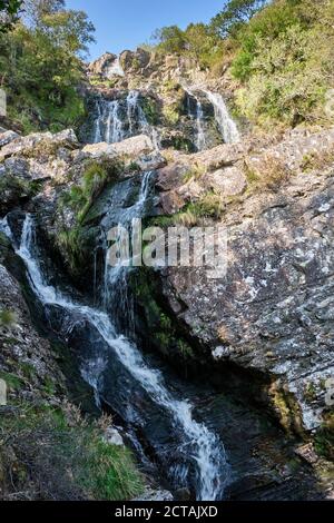 Pistyll Rhyd-y-mainciau Wasserfall am Lake Vyrnwy, Powys, Wales Stockfoto