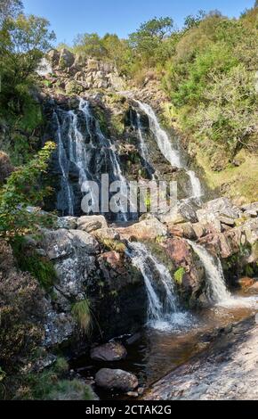 Pistyll Rhyd-y-mainciau Wasserfall am Lake Vyrnwy, Powys, Wales Stockfoto