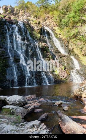 Pistyll Rhyd-y-mainciau Wasserfall am Lake Vyrnwy, Powys, Wales Stockfoto