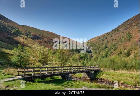 Eine Brücke über die Afon Eidew in Richtung Pistyll Rhyd-y-mainciau Wasserfall am Lake Vyrnwy, Powys, Wales Stockfoto