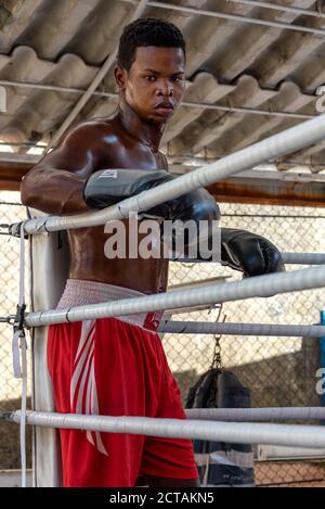 4. September 2019: Boxer schwitzt in einer Boxschule mit Ring. Havanna, Kuba Stockfoto