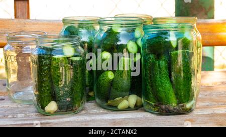 Die Vorbereitung der Gurken für das Einmachglas für den Winter, die Gurken im Glas aus der Nähe. Stockfoto