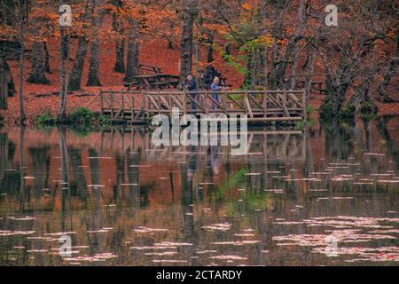 Herbstfarben. Bunt gefallene Blätter im See. Herrliche Landschaft. Natonial Park. Foto aufgenommen am 10. November 2018 Yedigler. Bolu, Istanbul, Stockfoto