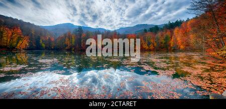 Panoramablick auf Menschen im Wald mit gefallenen Blättern, Herbstsaison in Yedigoller. Yedigoller, auch bekannt sieben Seen, ist Nationalpark in Bolu Stockfoto