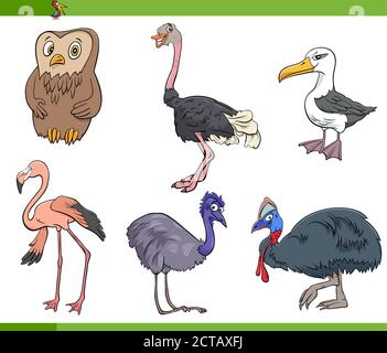 Cartoon Illustration von Vögel Spezies Tierfiguren Set Stock Vektor