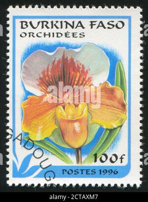 BURKINA FASO - UM 1996: Briefmarke gedruckt von Burkina Faso, zeigt Orchidee, um 1996. Stockfoto