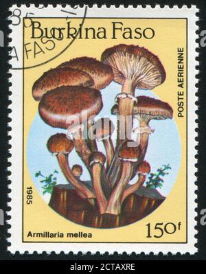 BURKINA FASO - UM 1985: Briefmarke gedruckt von Burkina Faso, zeigt Pilz, um 1985. Stockfoto