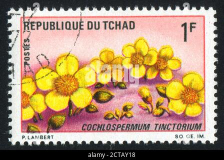 TSCHAD - UM 1969: Briefmarke gedruckt von Tschad, zeigt Cochlospermum tinctorium, um 1969. Stockfoto