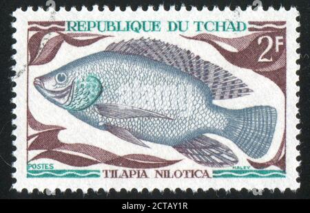 TSCHAD - UM 1969: Briefmarke gedruckt von Tschad, zeigt Tilapia nilotica, um 1969. Stockfoto