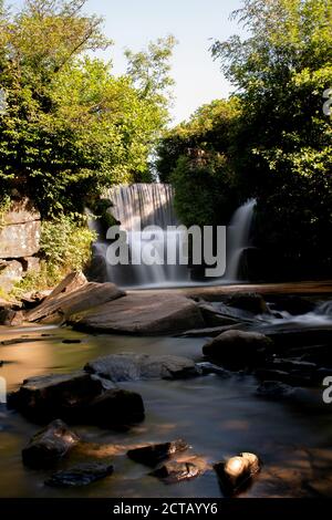 Schöner Wasserfall an einem sonnigen Morgen in penllergare Tal Wälder Stockfoto