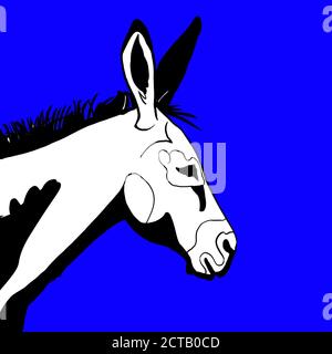 Gezeichneter Esel auf blauem Hintergrund. Wahlen 2020. Demokratische Partei. Stockfoto