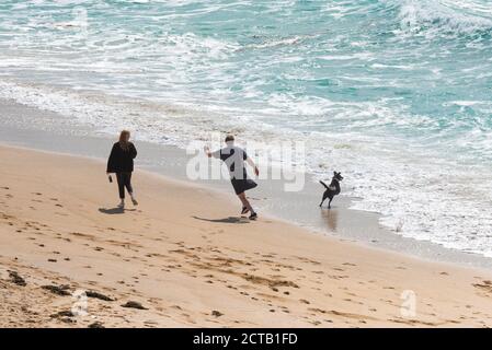 Ein Mann wirft einen Ball für einen Hund am Fistral Beach in Newquay in Cornwall. Stockfoto