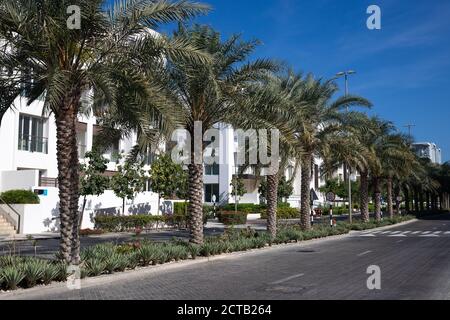 Palmen und Apartments mit Balkon. Wohngebiet in der Welle, Maskat, Seeb, Sultanat von Oman. Stockfoto