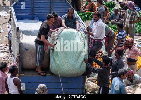 Kolkata, Indien - 2. Februar 2020: Nicht identifizierte Personen liefern neue Pakete mit Ringelblumen per LKW an Mallick Ghat Blumenmarkt Stockfoto