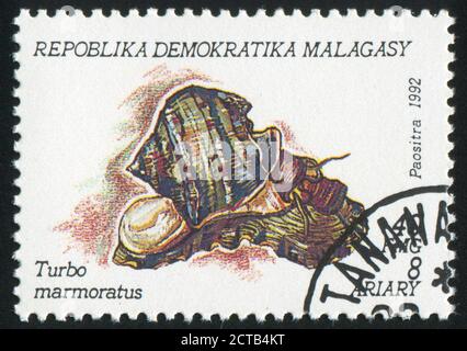 MALAGASY UM 1993: Briefmarke gedruckt von Malagasy, zeigt Mollusk, um 1993 Stockfoto