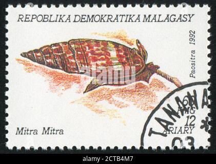 MALAGASY UM 1993: Briefmarke gedruckt von Malagasy, zeigt Mollusk, um 1993 Stockfoto