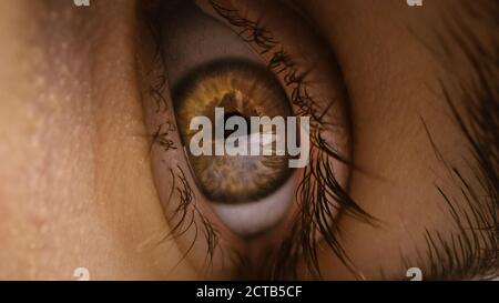 Nahaufnahme Makroaufnahme eines Auges. Junge schöne weibliche Augen mit hellblauen, gelben und braunen Farbpigmentierung auf der Iris. Mascara wird auf Eye angewendet Stockfoto