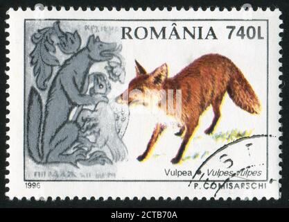 RUMÄNIEN - UM 1996: Briefmarke gedruckt von Rumänien, Ausstellungsfuchs, um 1996. Stockfoto