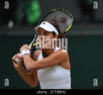 ANA IVANOVIC. Sabine Lisicki / Ana Ivanovic. WIMBLEDON 2014 BILDNACHWEIS : © MARK PAIN / ALAMY Stockfoto