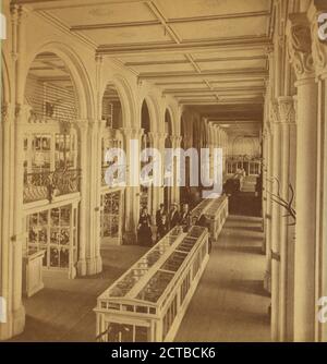 Museum, Smisthsonian., Smillie, T. W. (Thomas William) (1843-1917), Washington (D.C.), USA Stockfoto