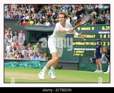 ANDY MURRAY AUF DEM WEG ZUM SIEG GEGEN JO-WILFRIED TSONGA IM MNS-HALBFINALE. WIMBLEDON 2012. BILD :© MARK PAIN /ALAMY STOCK FOTO Stockfoto