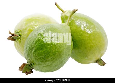 Guava Früchte auf weißem Hintergrund isoliert Stockfoto