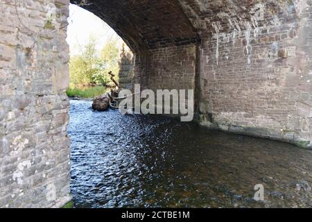 Der Fluss Usk in Abergavenny, alte Brücke über den Fluss, die an den Burgwiesen im Stadtzentrum vorbeifließt. Wunderschöne Naturlandschaft Stockfoto