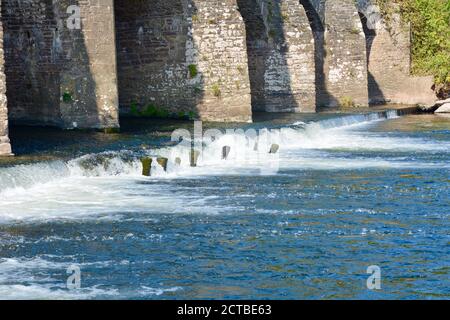 Der Fluss Usk in Abergavenny, alte Brücke über den Fluss, die an den Burgwiesen im Stadtzentrum vorbeifließt. Wunderschöne Naturlandschaft Stockfoto