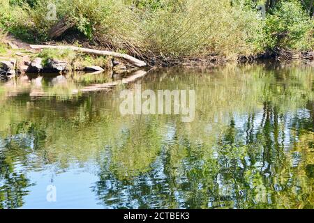 Der Fluss Usk in Abergavenny, alte Brücke über den Fluss, die an den Burgwiesen im Stadtzentrum vorbeifließt. Wunderschöne Naturlandschaft Stockfoto