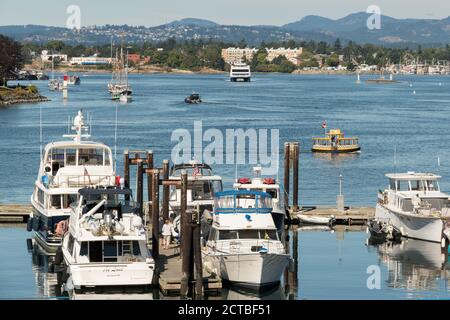 Eine Hafenfähre, auch H2O-Taxi genannt, überquert den Binnenhafen in Victoria, British Columbia, Kanada. Stockfoto