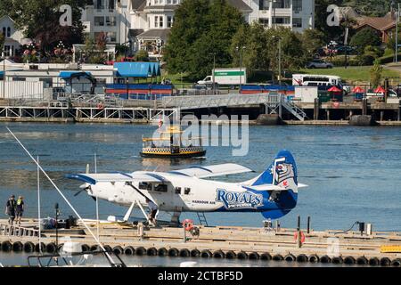 Ein Wasserflugzeug der Harbour Air legt an der Wasserflugzeugbasis Inner Harbour in Victoria, British Columbia, Kanada an. Stockfoto