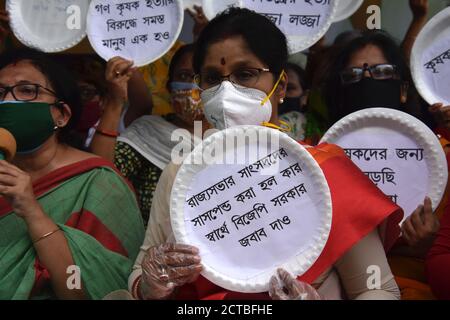 Kalkutta, Indien. September 2020. Frauenflügel des All India Trinamool Congress (AITC) Aktivisten protestieren mit einer sechsstündigen Demonstration in der Nähe der Gandhi-Statue gegen die Bauern, die Handel und Handel produzieren (Förderung und Erleichterung) und die Bauern (Ermächtigung und Schutz) Abkommen über Preissicherung und landwirtschaftliche Dienstleistungen Gesetzesentwürfe 2020, Die am 17. Und 20. September von der Lok Sabha und Rajya Sabha jeweils übergeben wurden. (Foto von Biswarup Ganguly/Pacific Press) Quelle: Pacific Press Media Production Corp./Alamy Live News Stockfoto