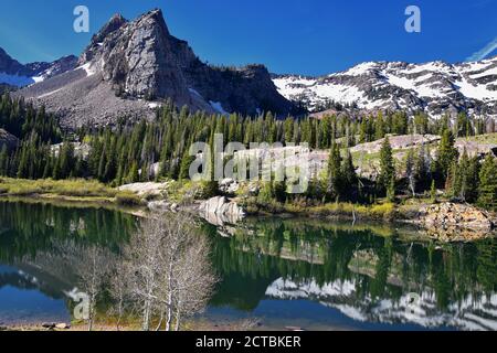 See Blanche Panoramablick vom Wanderweg. Wasatch Front Rocky Mountains, Twin Peaks Wilderness, Wasatch National Forest in Big Cottonwood Canyon Stockfoto