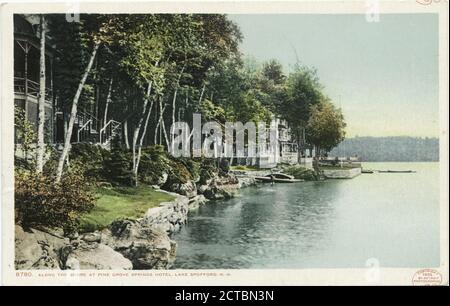 Along the Shore, Lake Spofford, Pine Grove Springs Hotel, Chesterfield, N. H., Standbild, Postkarten, 1898 - 1931 Stockfoto