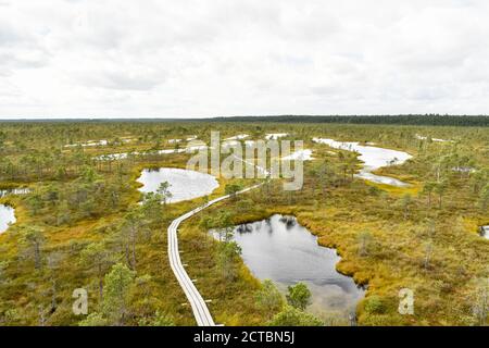 Blick vom Aussichtsturm im Kemeri Nationalpark, Kemeri Moor, Lettland, September 2020 Stockfoto